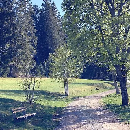 Daheim Im Hirschen * Schoenwald im Schwarzwald